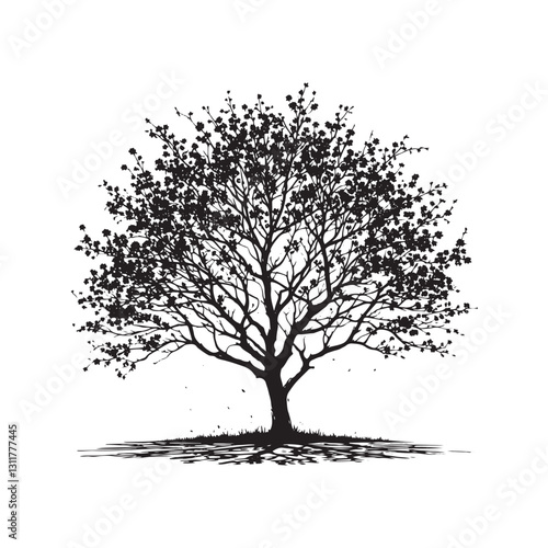 Tableau sur toile Eastern redbud Tree Silhouette - Minimalist Tree Design - Eastern Redbud Tree Vector - Tree Design - Tree Illustration