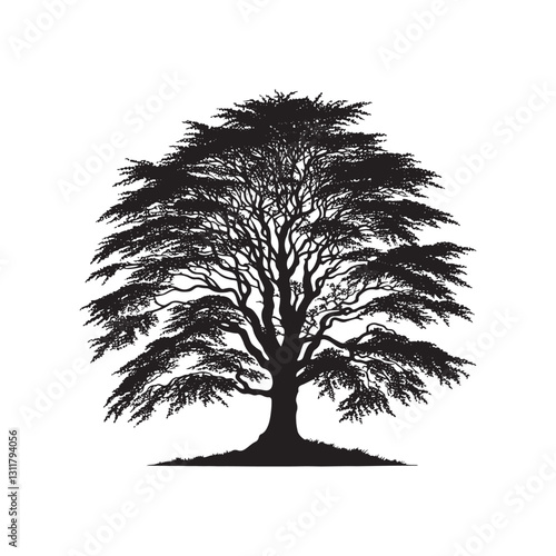 European beech tree Silhouette - Minimalist Tree Vector - European beech tree Illustration - European beech tree art -  Tree Deign.