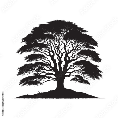 European beech tree Silhouette - Minimalist Tree Vector - European beech tree Illustration - European beech tree art -  Tree Deign.