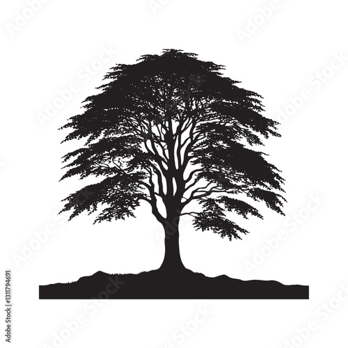 European beech tree Silhouette - Minimalist Tree Vector - European beech tree Illustration - European beech tree art -  Tree Deign.