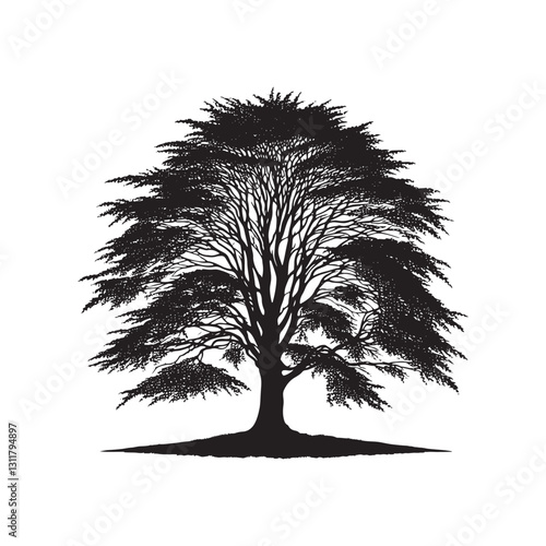 European beech tree Silhouette - Minimalist Tree Vector - European beech tree Illustration - European beech tree art -  Tree Deign.