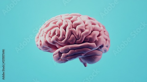 Realistic 3D Render of Human Brain Isolated on Blue Background Perfect for Educational and Medical Illustrations and Health Awareness Campaigns