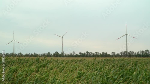 power plant of wind generators green energy