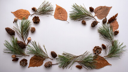 Autumn composition. A frame made of eucalyptus twigs, pine flowers, dried leaves on a predominantly white background