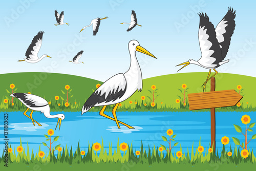 Vector flock of storks on the lake. Illustration of fauna living in the wild. Storks looking for food on the lake with beautiful scenery background