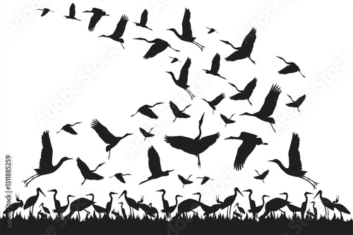 Vector storks. Silhouette of a flock of storks looking for food. Animal life in the wild