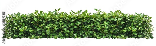 Wallpaper Mural Dense Green Shrubs Arranged in a Perfectly Trimmed Landscape Ideal for Outdoor Spaces : Generative AI Torontodigital.ca