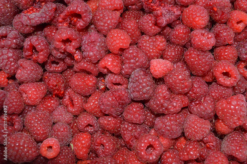 A vibrant and juicy pile of ripe raspberries create an inviting natural food background. A vibrant and juicy pile of ripe raspberries create an inviting natural food background.