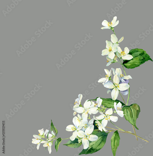 Wallpaper Mural Watercolor frame of white jasmine on grey background Torontodigital.ca