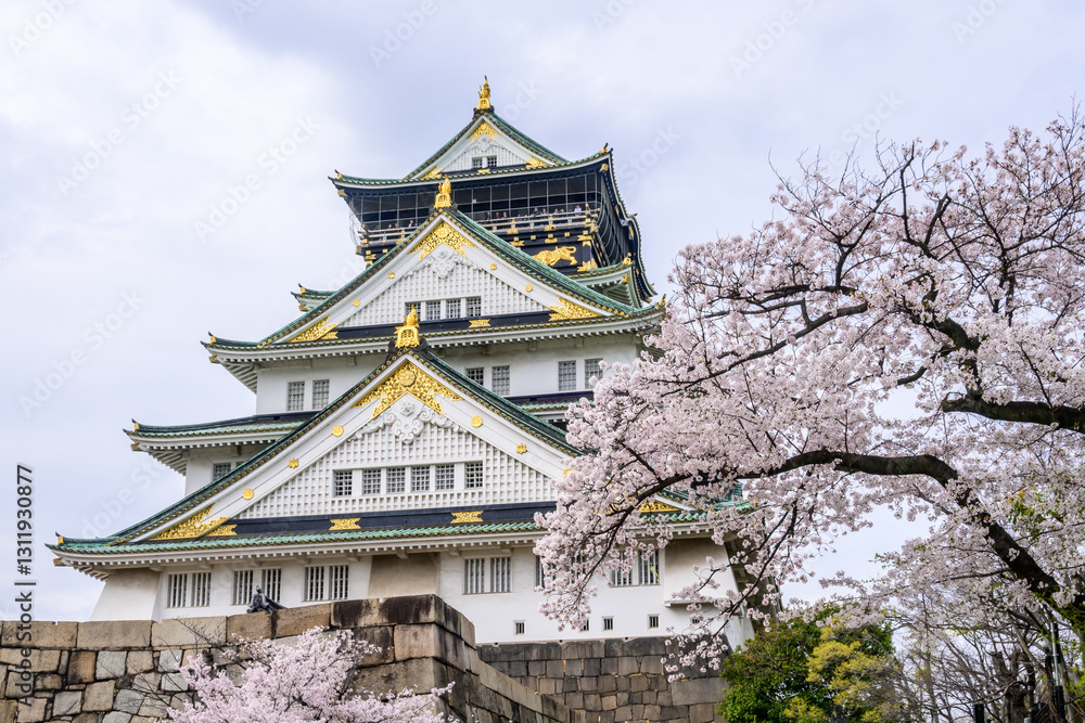 Cherry blossoms in full bloom frame Osaka Castle. The castle's green roof and stone walls stand in contrast to the delicate pink and white flowers Cherry blossoms in full bloom frame Osaka Castle. The castle's green roof and stone walls stand in contrast to the delicate pink and white flowers