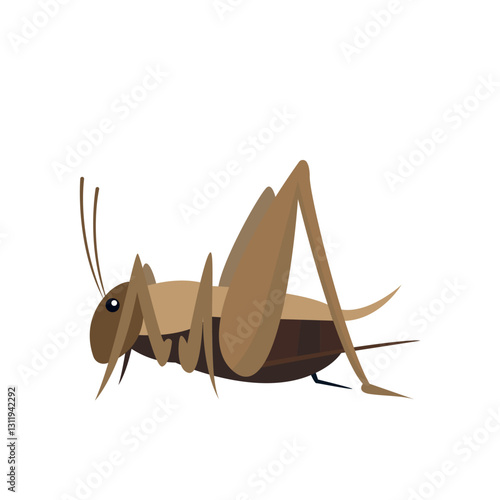 cricket bug insect vector illustration
