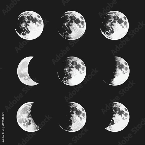 Phases of the Moon Lunar Cycle Astronomy Celestial Black and White