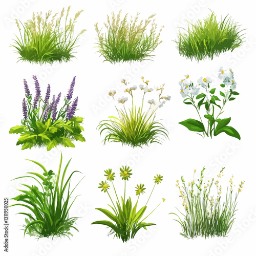Variety of grass and flower tufts for landscaping or graphic elements