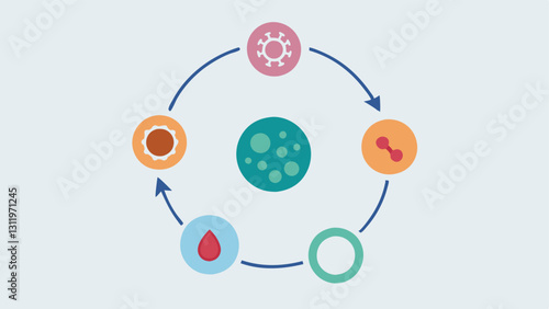 Skin Renewal Cycle A circular flowchart representing the continuous cycle of skin cell turnover with icons depicting exosome introduction cell rejuvenation and exfoliation.