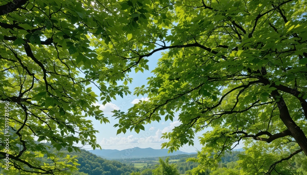 Fototapeta premium Nature scene framed by green leaves mountain landscape photography daylight close-up serenity