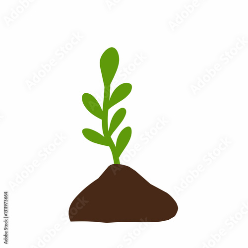 Hand drawn illustration of plant growth stages 