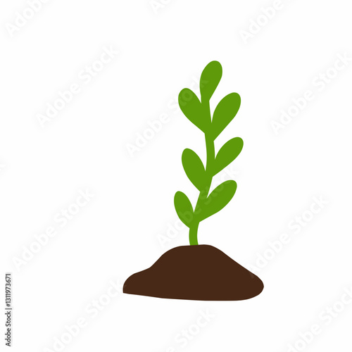 Hand drawn illustration of plant growth stages 
