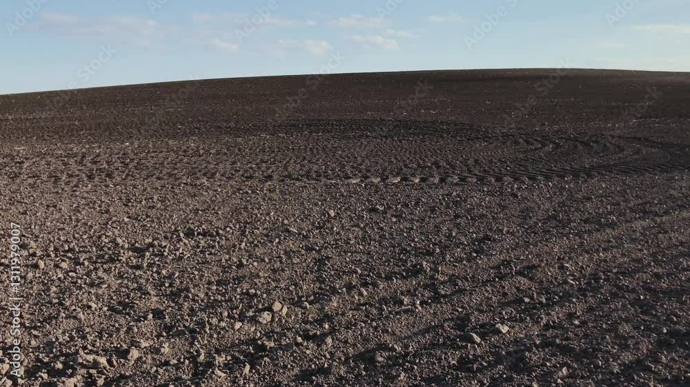 Plowed field. The field is ready for sowing. Tracks from tractor tires on the field.
Plowed field. The field is ready for sowing. Tracks from tractor tires on the field.
