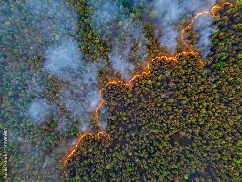 Drone view of a raging forest fire, thick smoke rising, emitting CO₂ and greenhouse gases. Deforestation accelerates, fueling climate change. A stark warning of environmental destruction.