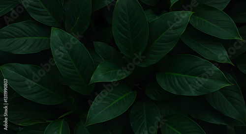 Wallpaper Mural Dark Green Tropical Leaves Close-up Pattern Perfect for Backgrounds Torontodigital.ca
