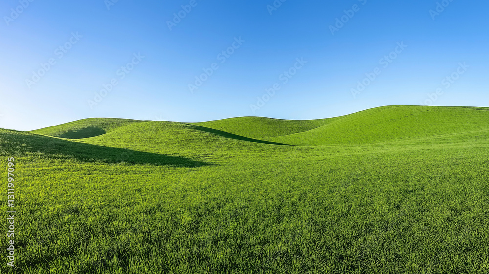 Fresh green grasses field with hilly terrain and clear blue sky Fresh green grasses field with hilly terrain and clear blue sky
