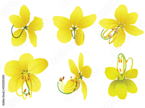Collection of cassia fistula flower or kanikonna flower for kerala Vishu Festival 