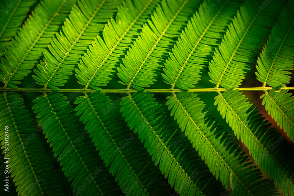 Image of green leaves pattern background. Image of green leaves pattern background.