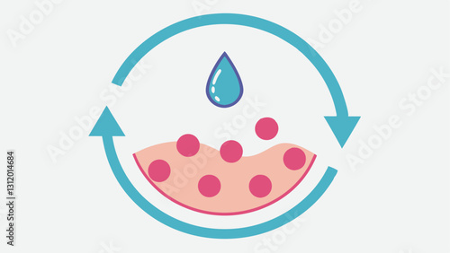 Skin Repair Cycle A cyclical diagram of skin regeneration with arrows illustrating the process of using the lotion enhancing collagen production and skin elasticity.