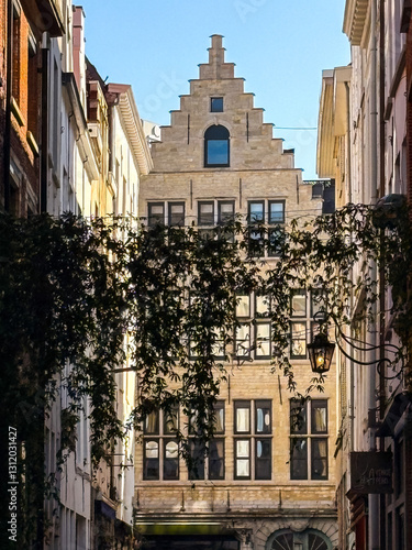 Obraz na płótnie Street view of downtown Antwerp, Belgium w salonie