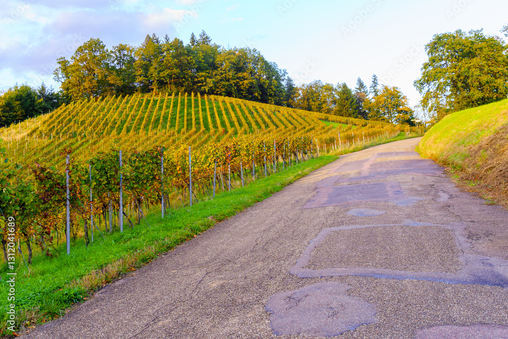 Countryside landscape in the Black Forest