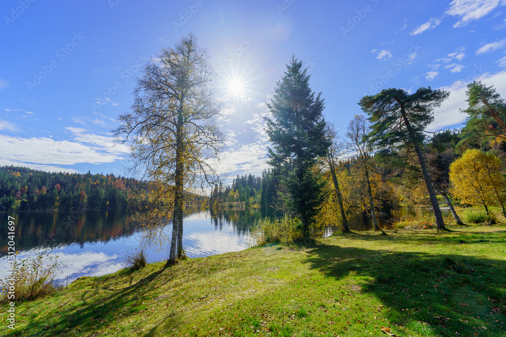 Windgfallweiher lake, in the Black Forest