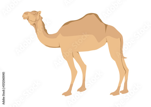 arabian camel cartoon isolated vector