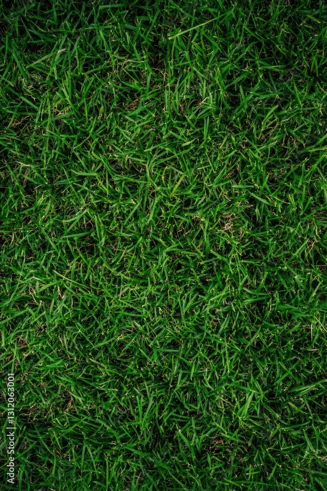 Lush green grass texture with dense foliage Lush green grass texture with dense foliage
