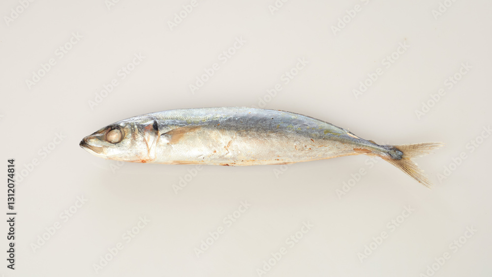 Isolated in White Background, a Fresh Silver Fish Showcasing Its Streamlined Body and Natural Colors Isolated in White Background, a Fresh Silver Fish Showcasing Its Streamlined Body and Natural Colors