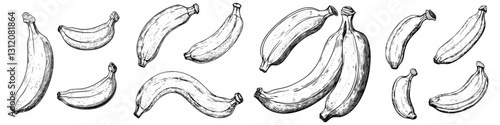Illustration of various bananas in different orientations and sizes on a white background