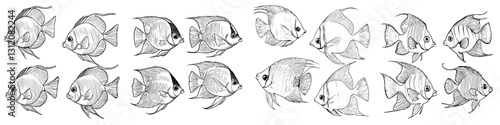 Illustration of various fish species swimming gracefully in a detailed artistic style