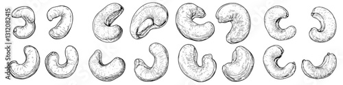 Various illustrations of cashew nuts arranged in a creative layout showcasing their unique shapes and textures