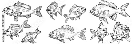 Various fish illustrations showcasing different species with distinct expressions and characteristics