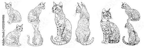 Captivating cats in various poses showcasing their elegance and playfulness in a sketch-style illustration