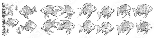 Fish illustrations showing various poses and movements in a detailed and artistic style