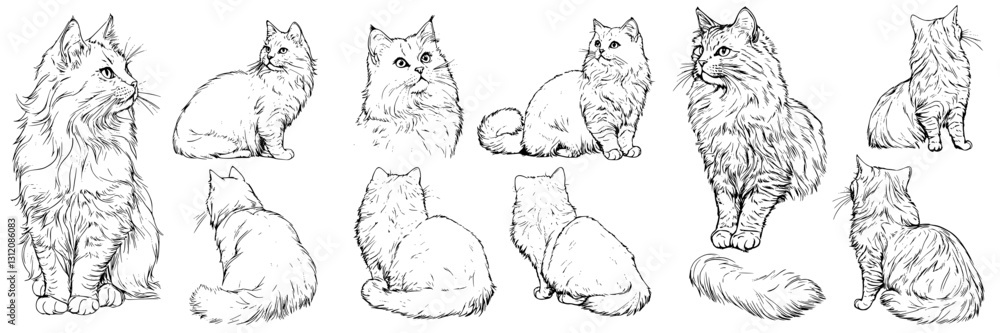 Obraz premium Detailed sketch of different poses of fluffy cats showcasing their playful nature and unique characteristics in artistic style
