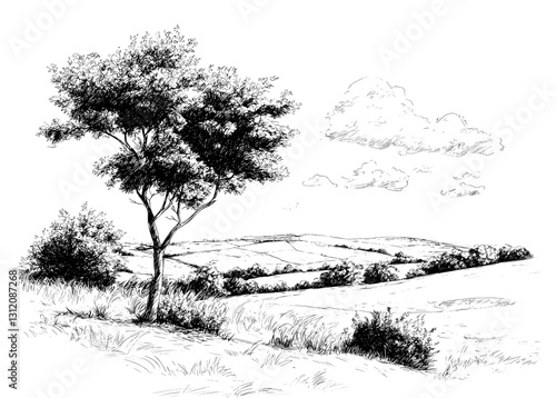 Black and white sketch of a forest glade depicted in a modern graphic landscape illustration
