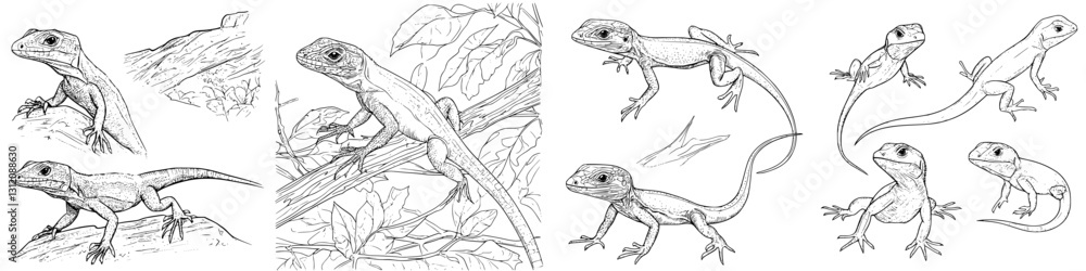 Obraz premium Scenic illustrations of lizards in their natural habitat showcasing various poses and environments during daylight hours