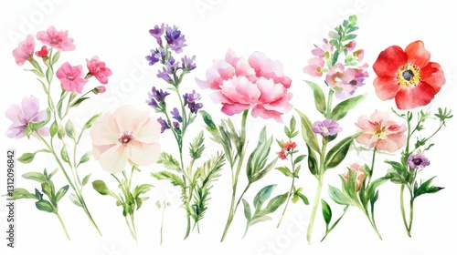 Wallpaper Mural A vibrant watercolor illustration showcasing various colorful flowers arranged in a row, highlighting their delicate petals and lush green stems. isolated on white background. Torontodigital.ca