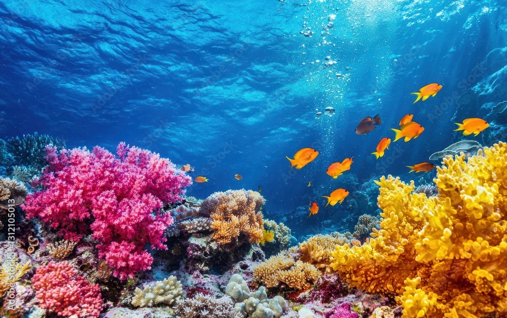 A vibrant coral reef teeming with marine life, with clear blue water and colorful corals A vibrant coral reef teeming with marine life, with clear blue water and colorful corals
