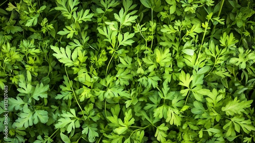 Wallpaper Mural Vibrant Green Nature Backdrop with Plant Torontodigital.ca