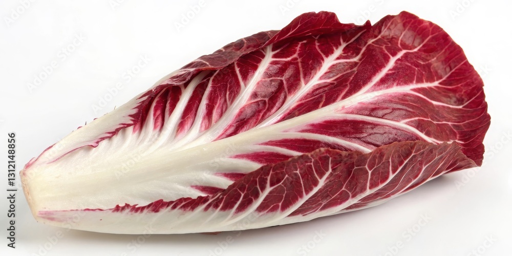 Harvesting a vibrant radicchio leaf in a greenhouse food photography nature close-up culinary arts Harvesting a vibrant radicchio leaf in a greenhouse food photography nature close-up culinary arts