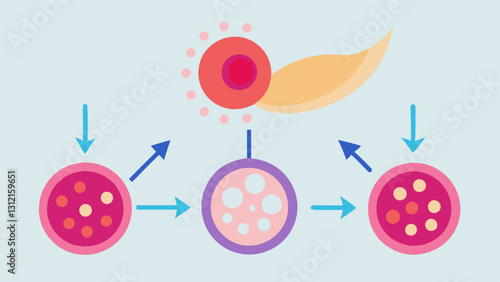 Skin Repair An illustration showing various skin cells fibroblasts and keratinocytes being activated by exosomes labeled with arrows that denote the healing process.