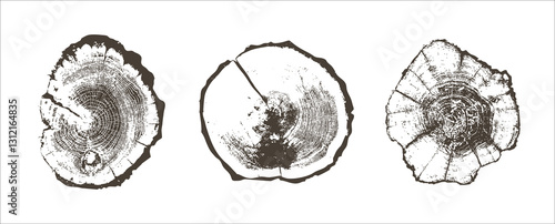 Cross sections of tree rings. Collection of tree stumps isolated. Slices of tree with growth rings, slabs of tree trunk. Natural cut wood. Ring pattern, wood texture. Vector design background elements
