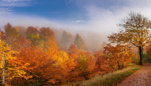 autumn forest in the fog